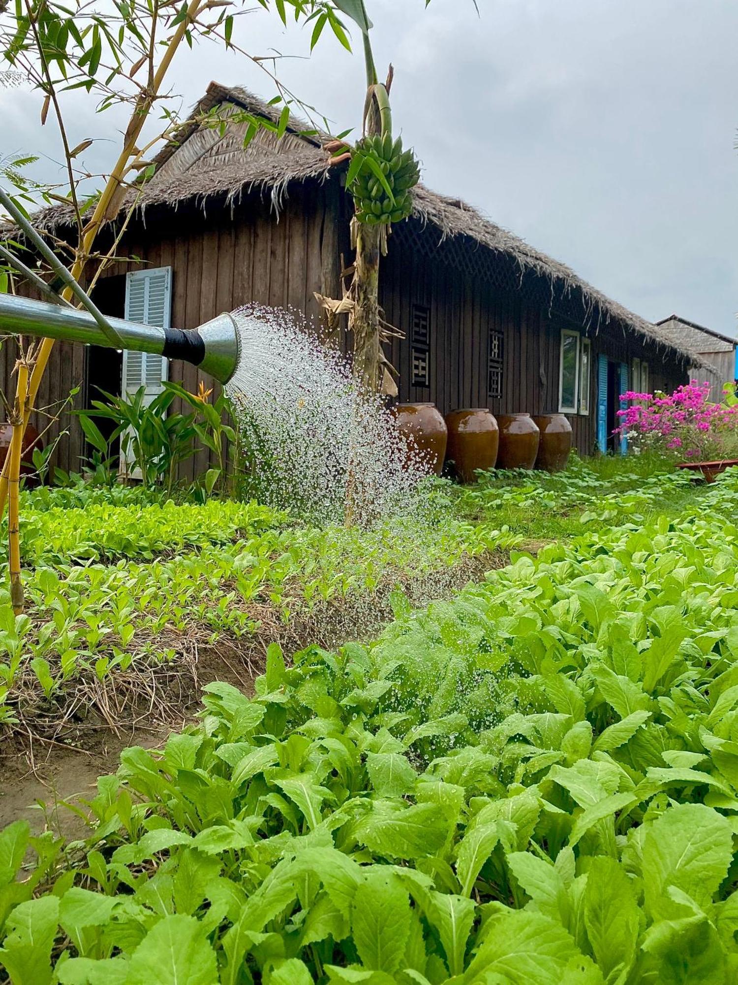 Mekong Silt Ecolodge كان ثو المظهر الخارجي الصورة
