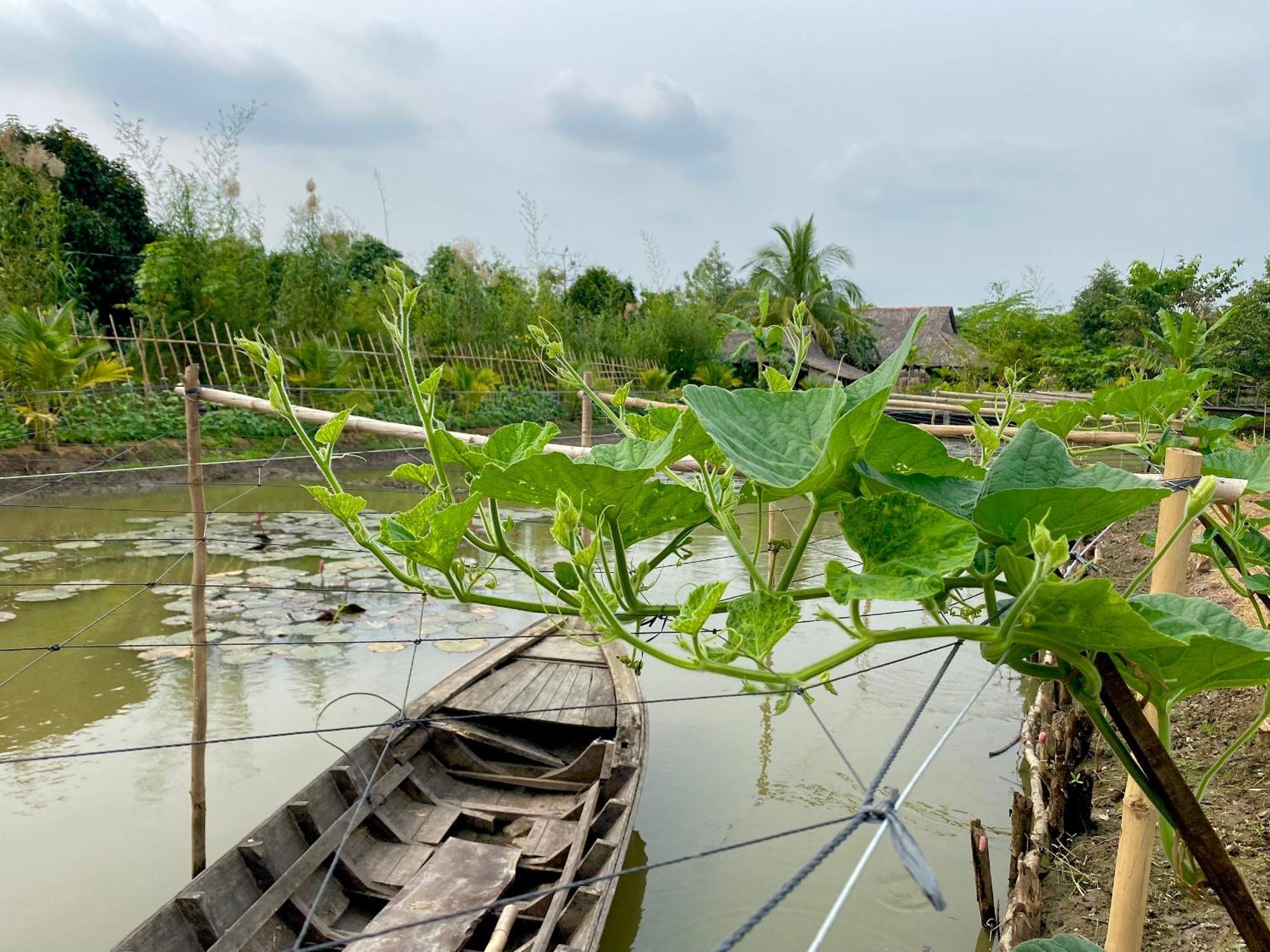 Mekong Silt Ecolodge كان ثو المظهر الخارجي الصورة