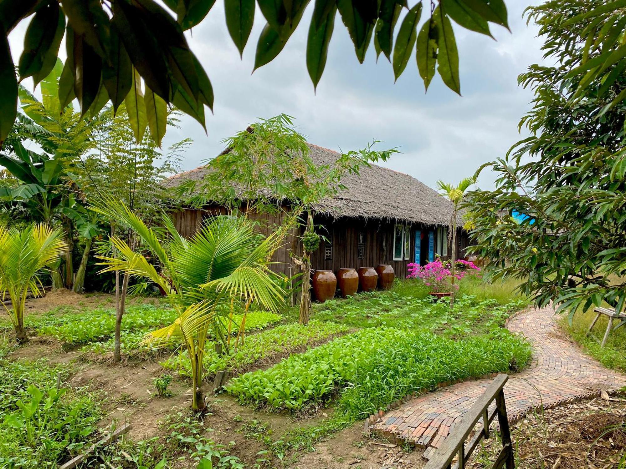 Mekong Silt Ecolodge كان ثو المظهر الخارجي الصورة